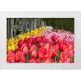 thumbnail image 3 of Dana Styber 4x24 White Modern Wood Framed Wall Art Titled - Tulip Bed II, 3 of 5