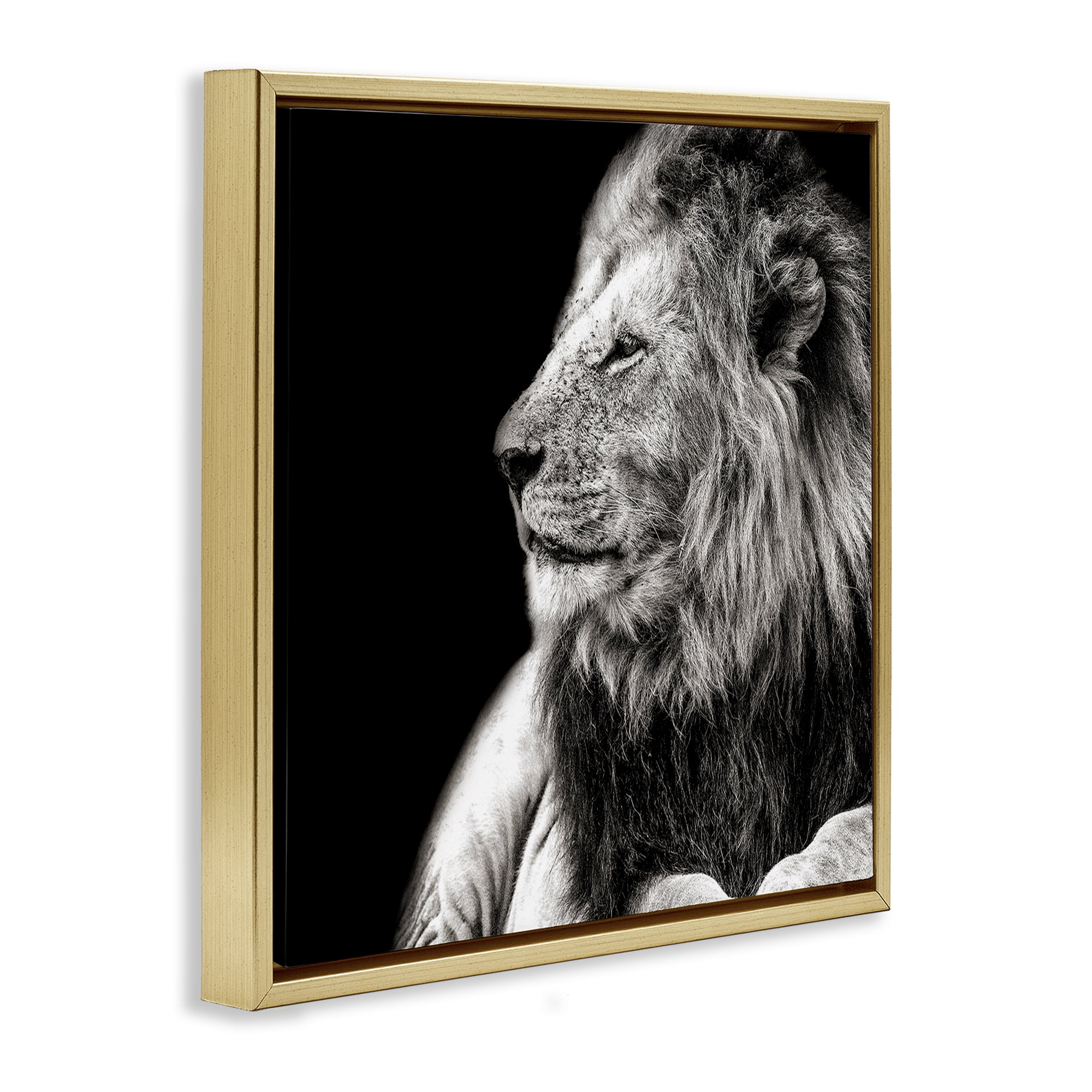 Stupell Industries Lion Portrait on Black Animals Photography Gold Floater Framed Canvas Art Print Wall Art, 25 x 25