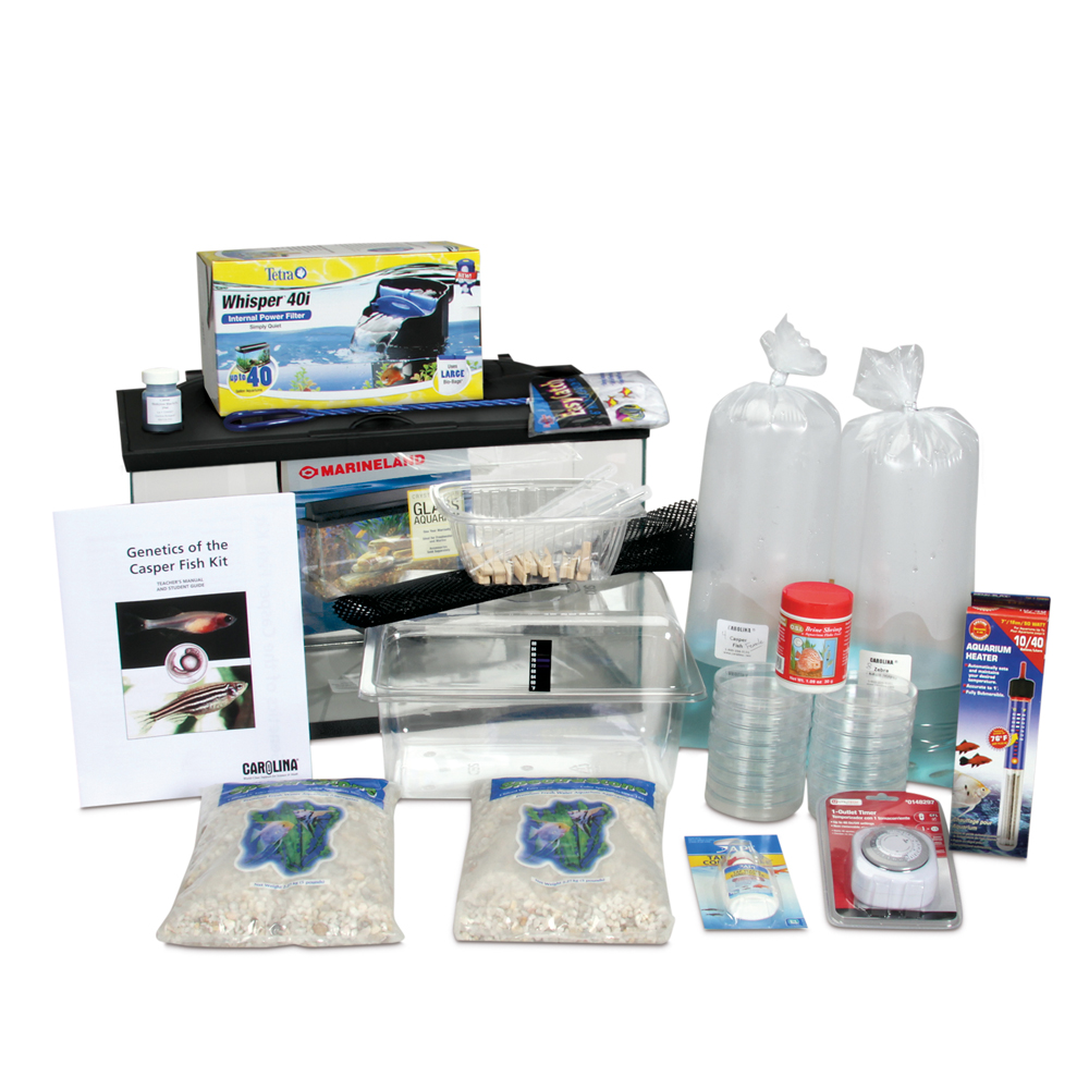 Carolina Genetics of the Casper Fish Deluxe Kit (with aquarium ...