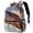 Color1, variant on Lightweight Backpack Animal Paw Prints School Bag Travel Laptop Daypack for Men Women Casual Rucksack