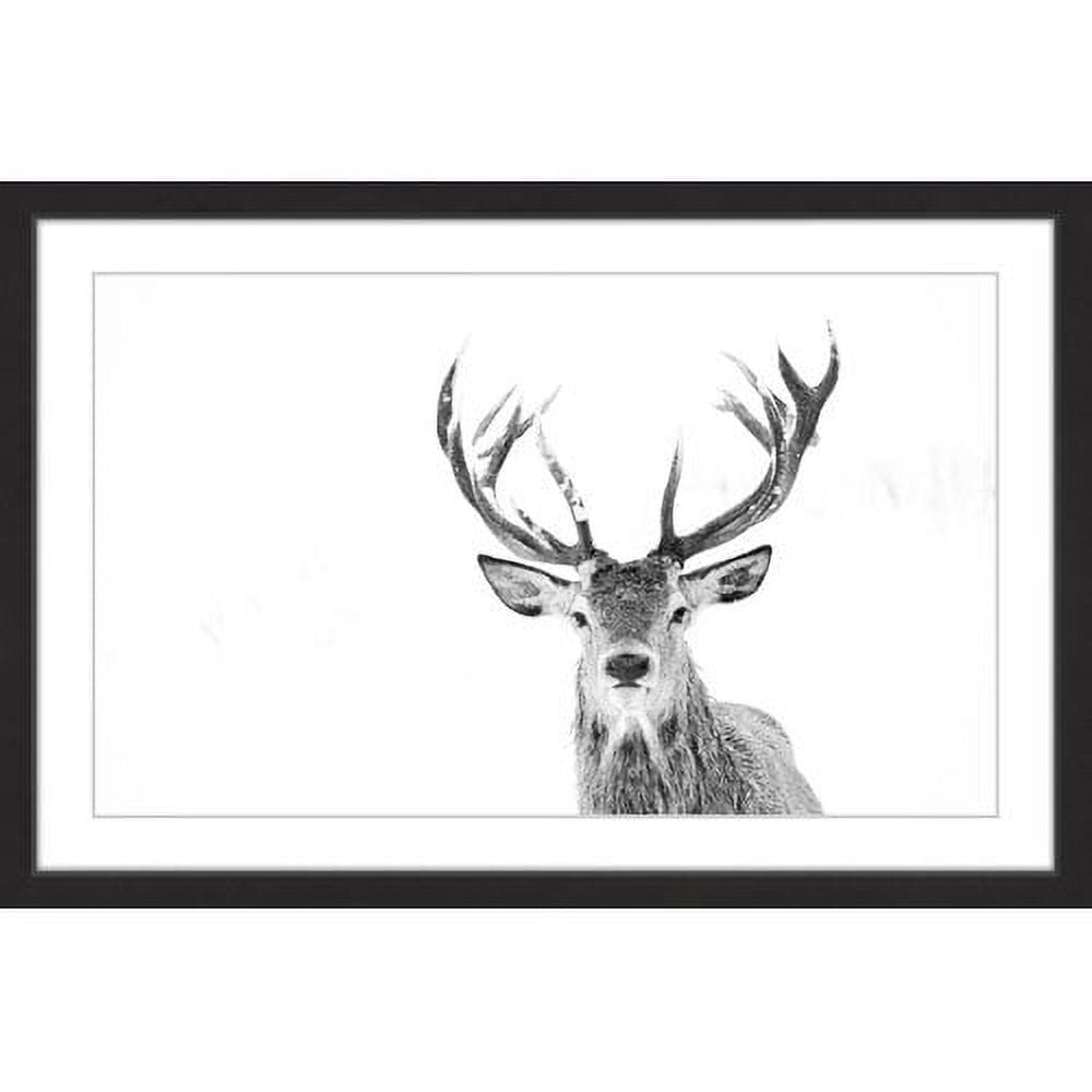 Marmont Hill "Majestic Antlers" Framed Painting Print
