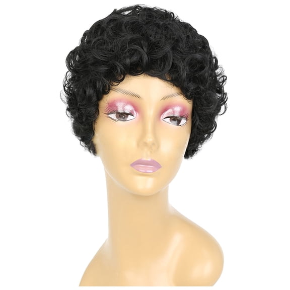 LHWEN Black Wavy Short Curly Hair Short Curly Wig Female Headgear Suitable For Women's Wigs Black Wig Beauty Salon Straight Hair Fun Lace Wavy Curls Braided Hair Synthetic Hair bohon Perfect