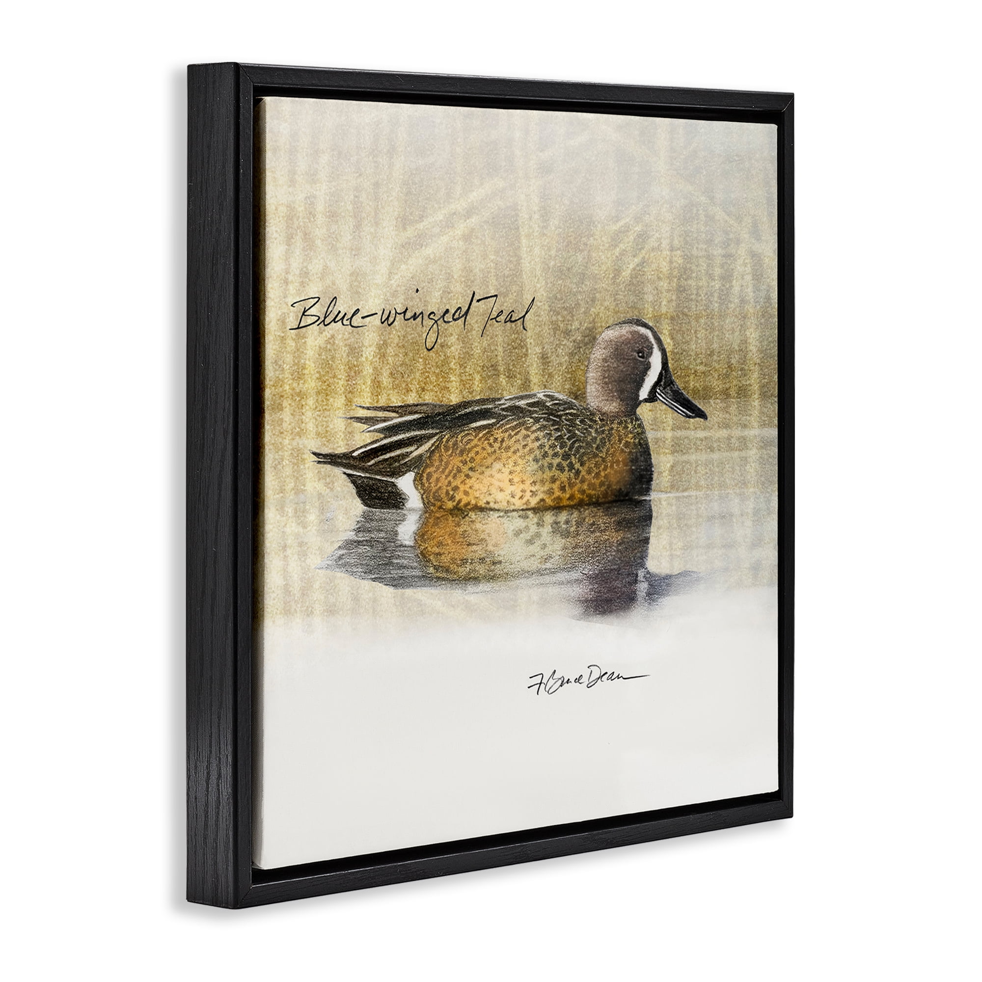 Stupell Industries Blue Winged Teal Duck Animals Painting Black Floater Framed Canvas Art Print Wall Art, 25 x 25