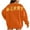 Orange, variant on Women's Sweatshirt Long Sleeve Round Neck Pullover with Bow Detail for Cute Casual Style,Cute Sweatshirts for Women