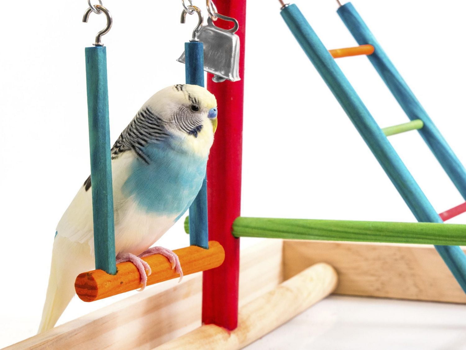 Penn-Plax, Jouer Stylo Oiseau Jouet