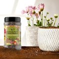 thumbnail image 2 of Geva Grow on the Go Seed Shaker Mini - Northwest Wildflower Seeds Regional Mix - Organic, Non-GMO - 100% Pure Seed - 20 Different Wildflowers Seeds of Annual and Perennial, 2oz, 2 of 4