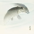 thumbnail image 2 of Koson, Ohara 26x26 White Modern Wood Framed Museum Art Print Titled - Two carp fish, 2 of 4