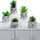thumbnail image 2 of Wosthever 3 unids/set decoración de habitación Unisex adecuada para cualquier ocasión regalo elección decoración del hogar jardín Decoración, 2 of 6