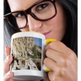 thumbnail image 2 of 3dRose, NM, Bandelier Monument, Ancient Architecture - US32 JWI0157 - Jamie and Judy Wild, 11oz Two-Tone Yellow Mug, 2 of 7