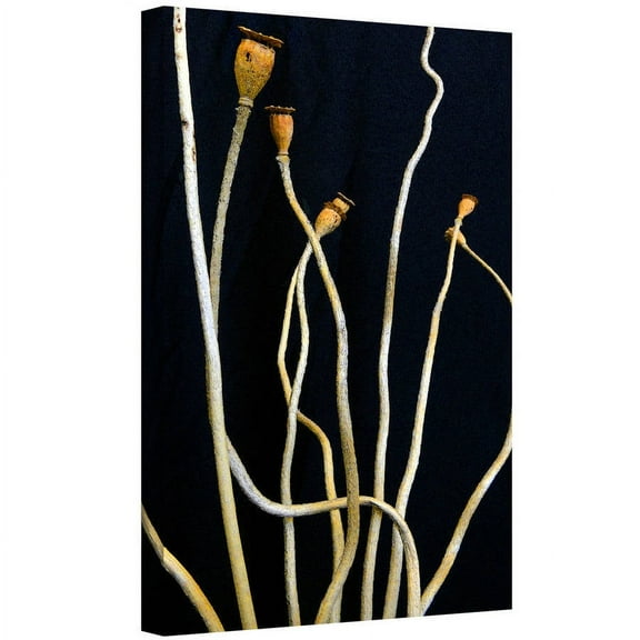 Dean Uhlinger "Still Perspective" Gallery-Wrapped Canvas