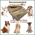 thumbnail image 2 of Deluxe Naturals 6-Pack Medium Whole Elk Antler Dog Chews, Natural Long-Lasting Chew Treat for Small and Medium Dogs, 2 of 9