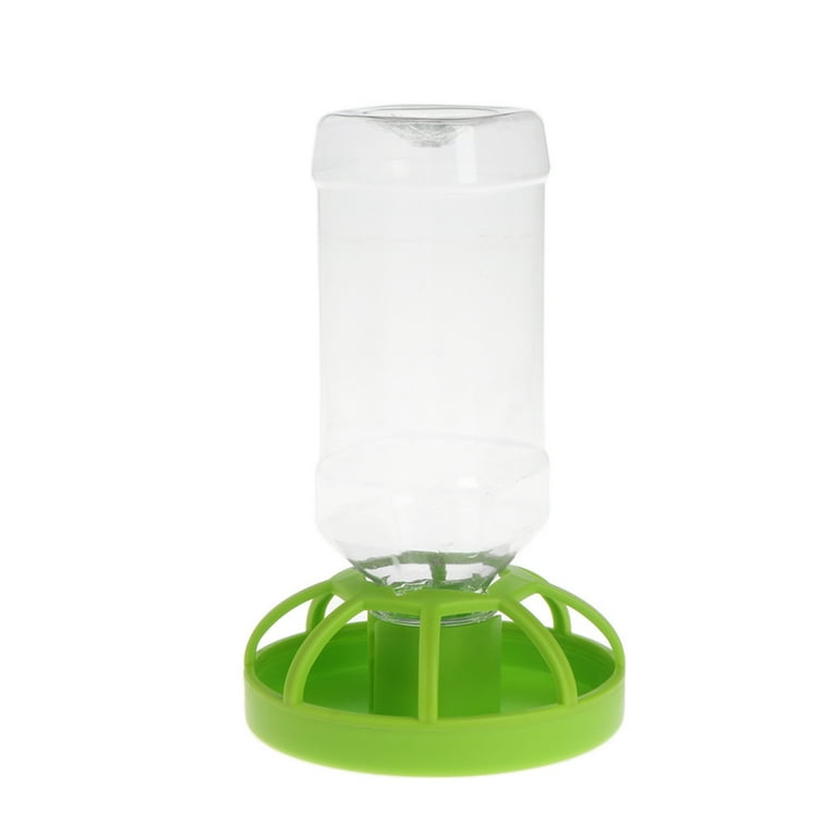 Automatic tortoise feeder cheap