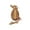 Brown, variant on NAOJIE 3d Printed Dragon,Dragon,Dragon Toys,Fidget Toys,3d Printed Toys,3d Printed Dragon Eggs with Dragon Inside,Executive Dragon Fidget Desk Toys for Gifts,Home Office Decor -Brown