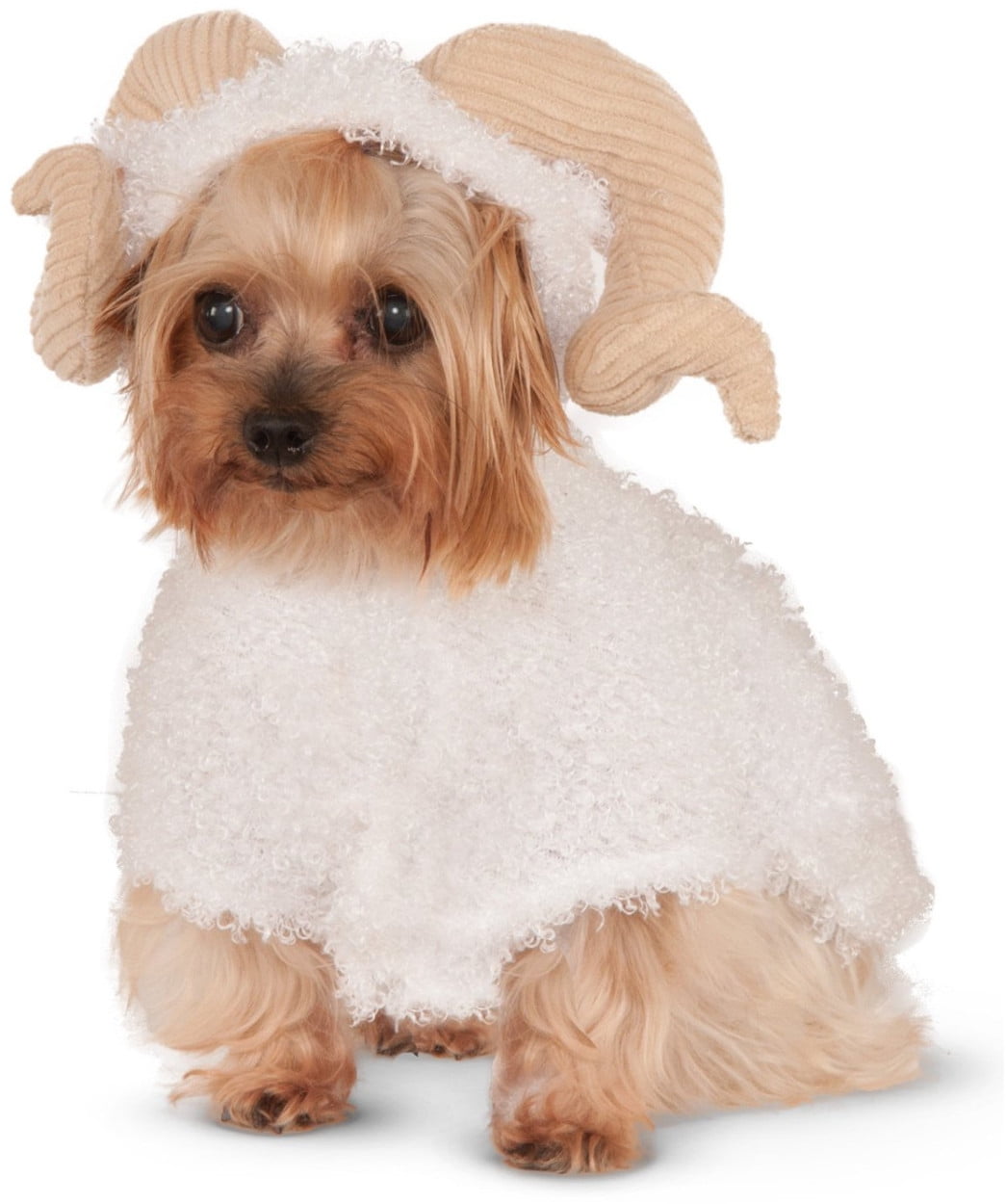 wind up dog costume