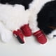 thumbnail image 5 of Zapatos para perros resistentes al agua, botas para mascotas, cómodos, antideslizantes, protectores de patas, rojos, 4 piezas, S, 5 of 7