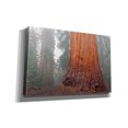 thumbnail image 2 of Epic Graffiti 'Kings Canyon' by Mike Jones, Giclee Canvas Wall Art, 60"x40", 2 of 8