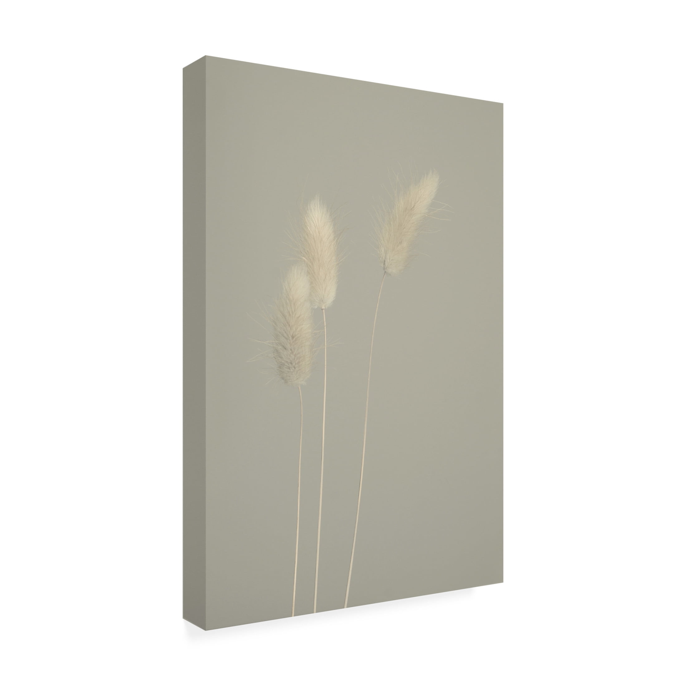 Canvas Wall Art - Heidi Westum 'Pale Trio' Wall Art for Living Room, Bedroom, or Office Décor by Trademark Fine Art - 12 x 19 Inches