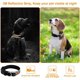 thumbnail image 2 of Collar de perro reflectante ajustable con etiqueta, collar de nailon transpirable para mascotas, collar de perro para perros pequeños, medianos y grandes (naranja, M) Rojo Verde RV1016-0123859FYD, 2 of 5
