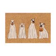 thumbnail image 2 of RKSTN Halloween Decorations Ghost Welcome Door Mat For Front Door Entrance Doormat Funny Door Mat Indoor Outdoor Mat Non Slip Decor 24 X 16 In Halloween Decor, 2 of 5