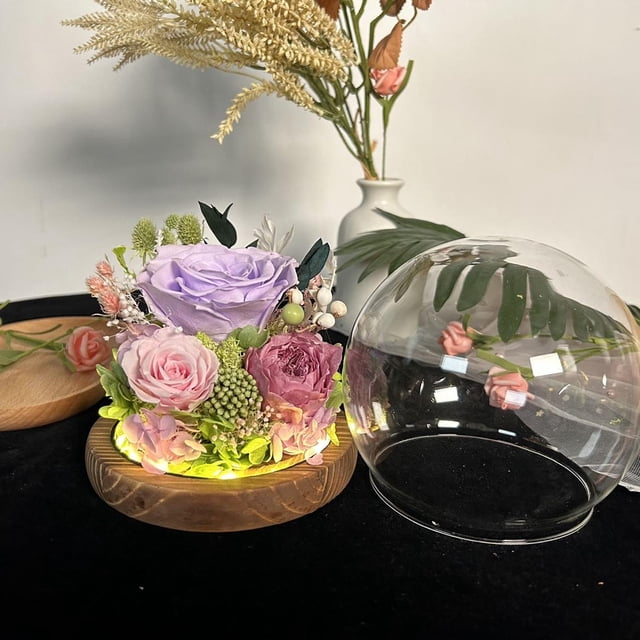 Regalos del Día de la Madre para esposa, Rosa de clavel real conservada, a largo plazo, Regalos de decoración de mesa para mujeres, Flores reales, Violeta