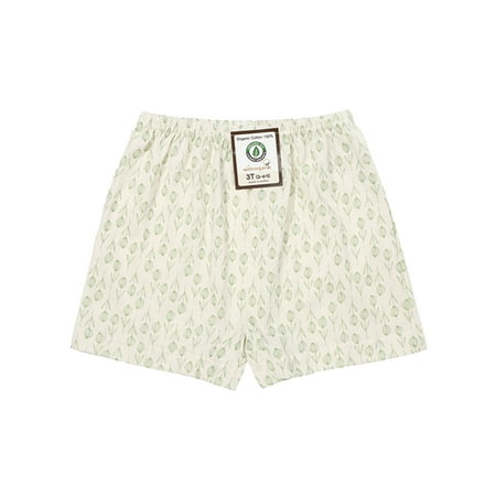 - Toddler Girls Boxer Brief PREMIUM 100% Organic Cotton 3T - 7