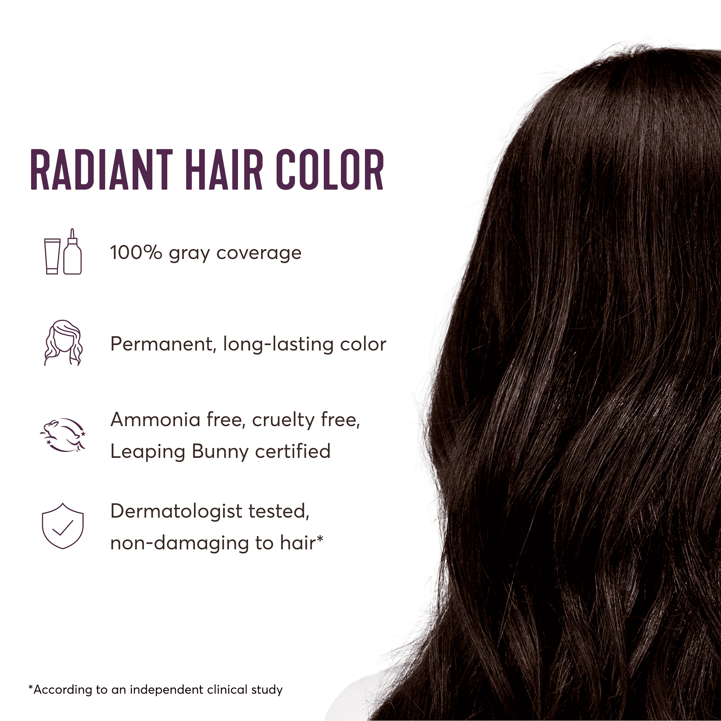 Madison Reed Radiant Permanent Hair Color Kit with Bonus Pro Boost, Ravenna (3.5NNN), True Darkest Brown