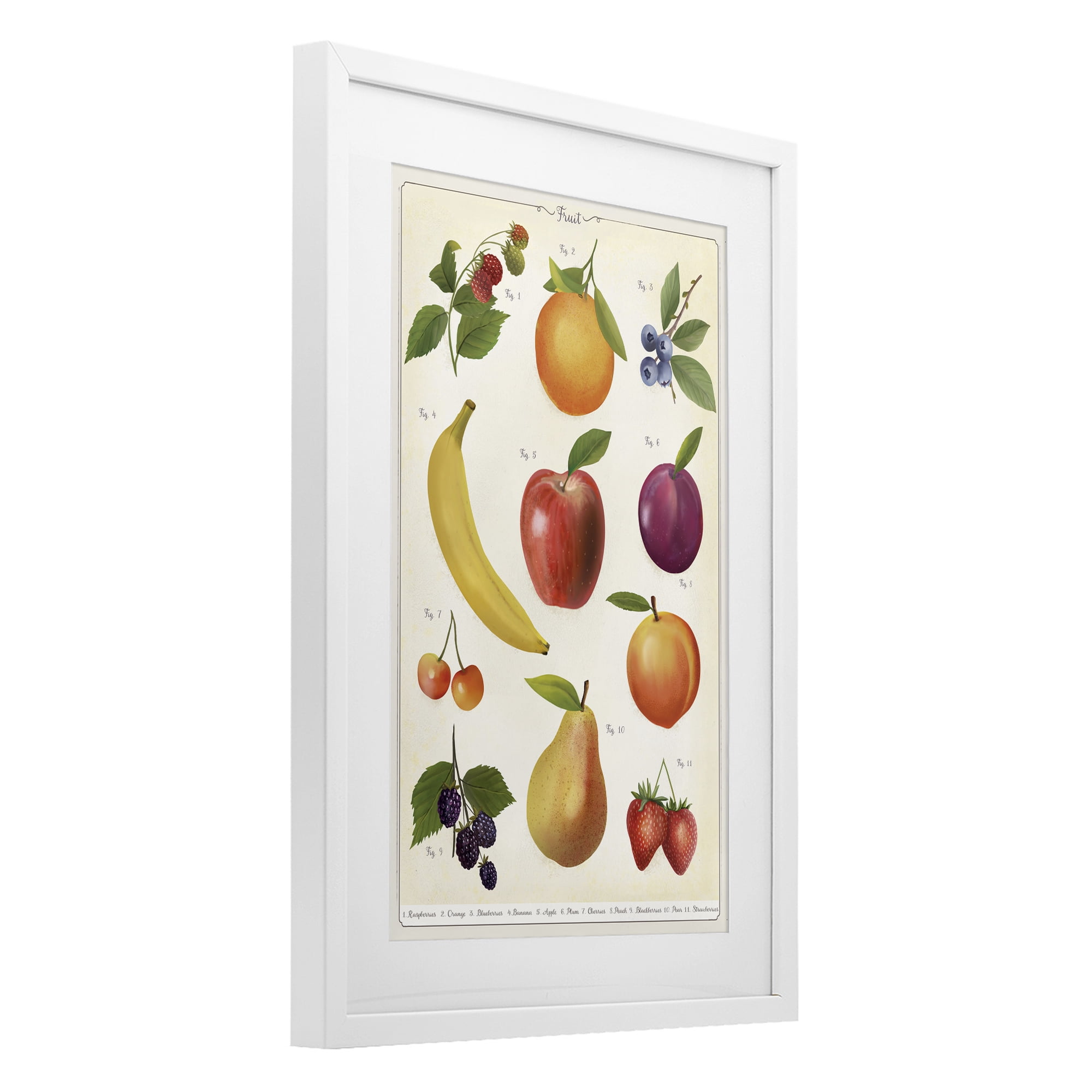 Stupell Industries Fruit Collection Studies White Framed Print Under Glass, design by Diane Neukirch