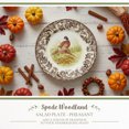 thumbnail image 2 of Spode Woodland Salad Plate, Pheasant, 8” Perfect for Thanksgiving and Other Special Occasions, Made in England from Fine Earthenware, Microwave and Dishwasher Safe, 2 of 7