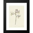 thumbnail image 2 of Catharina Lintheimer 18x24 Black Modern Framed Museum Art Print Titled - Twig with Four White Lilies (1727), 2 of 5