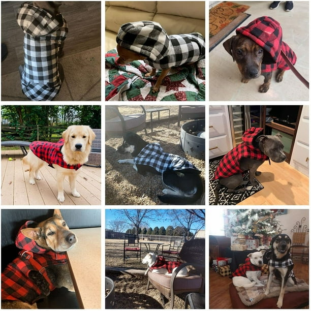 Large dog coats and sweaters deals