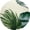 Hawaiian, variant on GKXLH Outdoor Garden Bench Pad - Thick Shelf Foam Patio Cushion with Waterproof Cover, Zippered Removable & Machine Washable, Includes 2 Same Color Pillow Covers (48"x18"x3", Hawaiian )