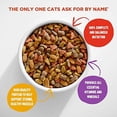 thumbnail image 3 of Meow Mix Original Dry Cat Food, 18-Ounce, 3 of 3