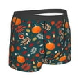 thumbnail image 3 of Disketp Autumn With Pumpkins Men'S Boxer Briefs,Soft And Breathable Cotton Underwear With Comfortflex Waistband, 3 of 8