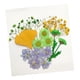 thumbnail image 3 of 13/14/15 piezas de flores secas prensadas reales para manualidades de fundas de teléfono para bodas UNA, 3 of 9