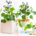 thumbnail image 4 of Plant Support Frame Set, 3 Pcs Climbing Rack for Vines, Potted Plants, Indoor and Outdoor Planters, 4 of 7
