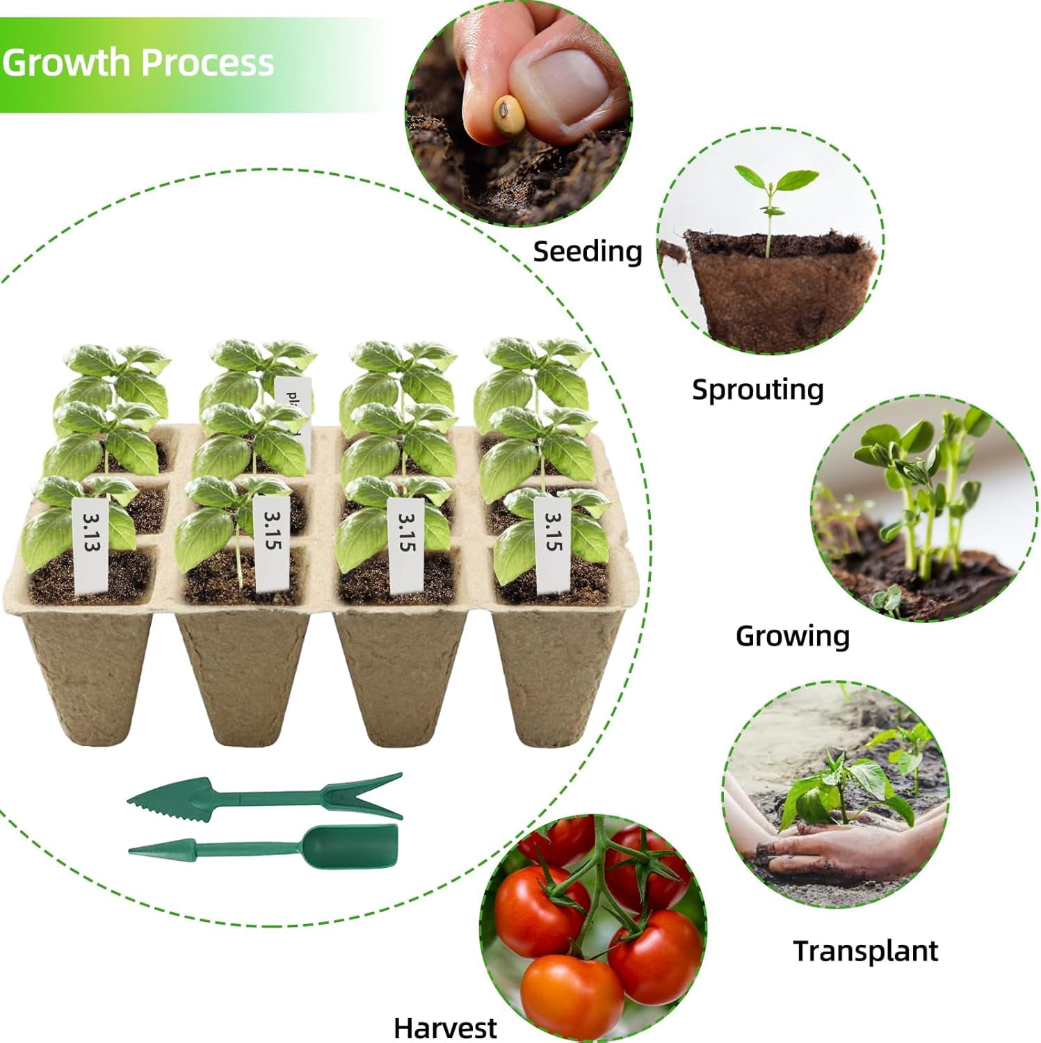 Seed Starter Tray, Biodegradable Peat Pots Seed Starter Kit, Organic Germination Trays for Seedlings with Plant Labels & Garden Tools