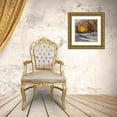 thumbnail image 3 of Frank, Assaf 26x26 Gold Ornate Wood Framed with Double Matting Museum Art Print Titled - Park Pretty I, 3 of 4