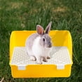 thumbnail image 1 of Caja de Bandeja de entrenamiento para ir al baño Bandeja para orinal Esquina para inodoro Cama para conejillo de indias Galesaurio Hurón Jerbo Amarillo, 1 of 10
