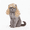 golden, variant on Pet wig, cat and dog wig, fun role-playing pet headwear, dog and cat wig with adjustable elastic band, suitable for pet dog and cat holiday party role-playing costumes
