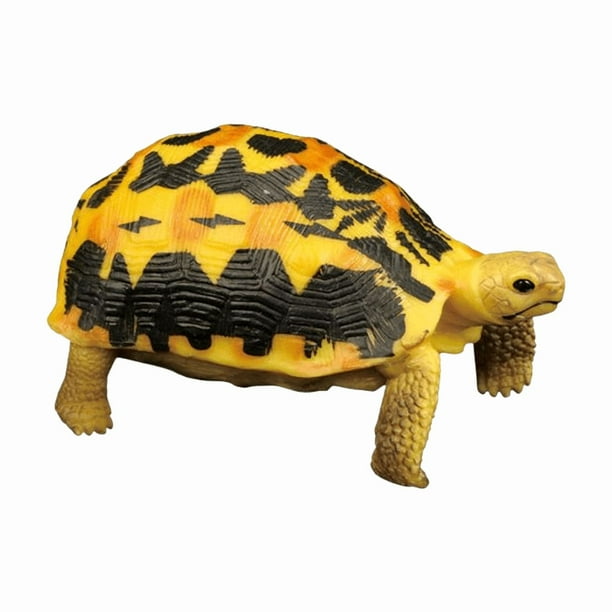Figura realista de PVC con forma de tortuga estrella india, 12 cm, para niños a partir de 3 años