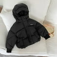 thumbnail image 2 of Godderr Girls Boys Fall Winter Down Jackets for Toddler Kids Fleece Cotton Outwears with Brim 2-8Y Solid Color Warm Coats, 2 of 7