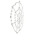 thumbnail image 5 of 5' Lighted Orange and Black Spider in Web Halloween Decoration Black Wire, 5 of 5