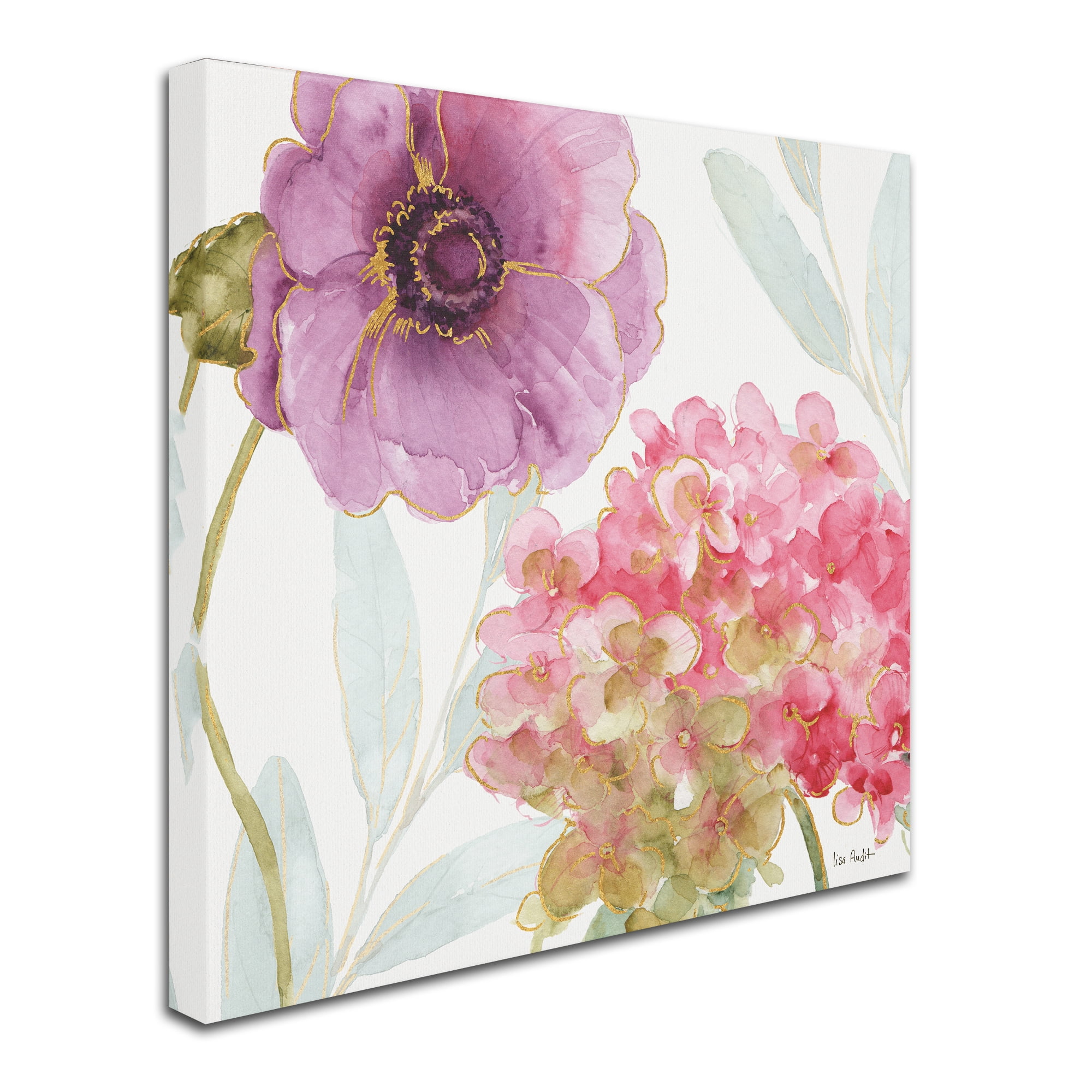 Trademark Fine Art "Rainbow Seeds Flowers V" Canvas Art by Lisa Audit