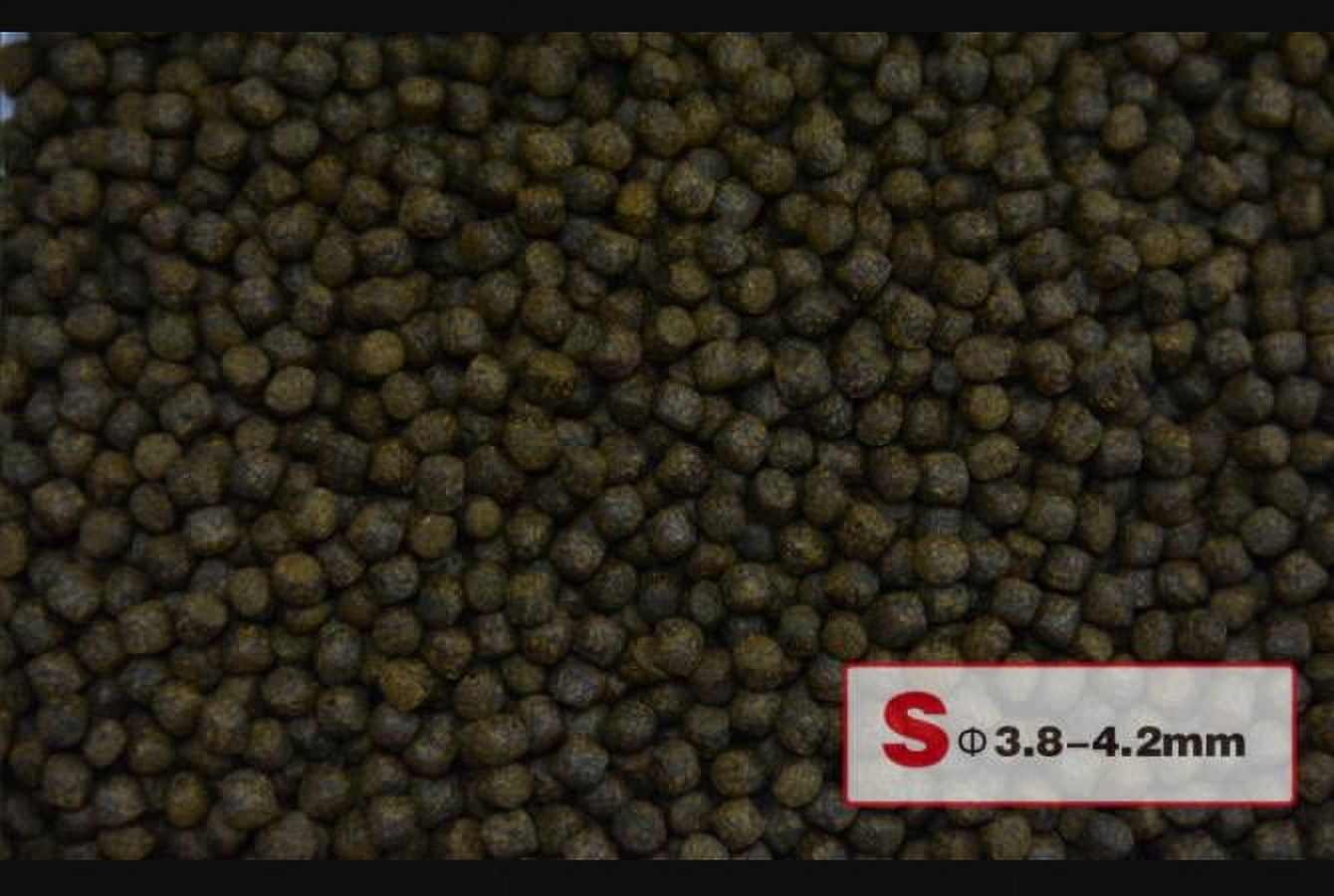 Aqua Master Color Enhancer Koi Food (1 kg) - Small Pellets