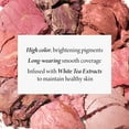 thumbnail image 3 of LAURA GELLER NEW YORK Baked Blush-n-Brighten Marbleized Blush for Cheeks - Ethereal Rose - Natural Finish - Buildable Color, 3 of 9