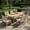 Light Gray Wicker, variant on Christopher Knight Home 7-Piece Boho Patio Wooden Dining Set, Oval Table with Wicker Chairs, Light Gray