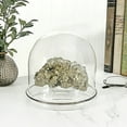 thumbnail image 3 of Plymor 5.5" x 5.5" Glass Display Dome Cloche (Silver Rim Glass Tray Base), Pack of 4, 3 of 3