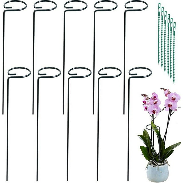 Soporte especial para plantas, soporte para rosas, soporte para trepar plantas en macetas, soporte de hierro