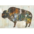 thumbnail image 3 of Gango Home Decor Southwestern Free Spirit I & II by Sue Schlabach (Ready to Hang); Two 18x12in Black Framed Prints, 3 of 5