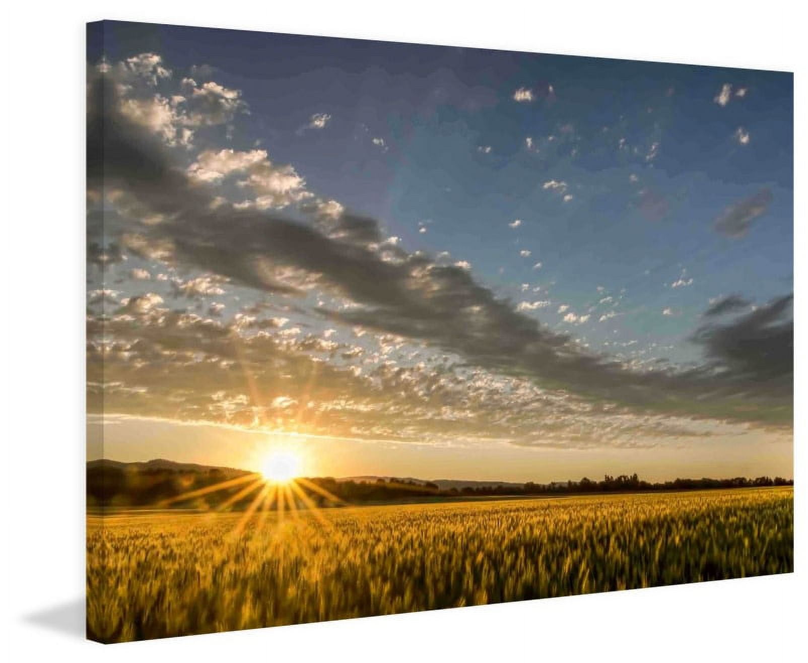 Marmont Hill "Sunset over the Golden Meadow" Painting Print on Canvas